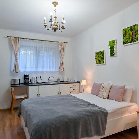 Transilvania Apartment Nagyszeben Kültér fotó