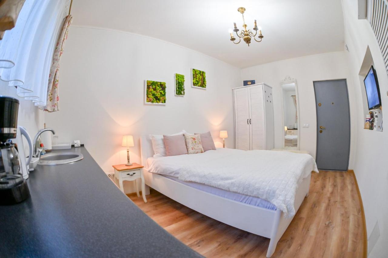 Transilvania Apartment Nagyszeben Kültér fotó